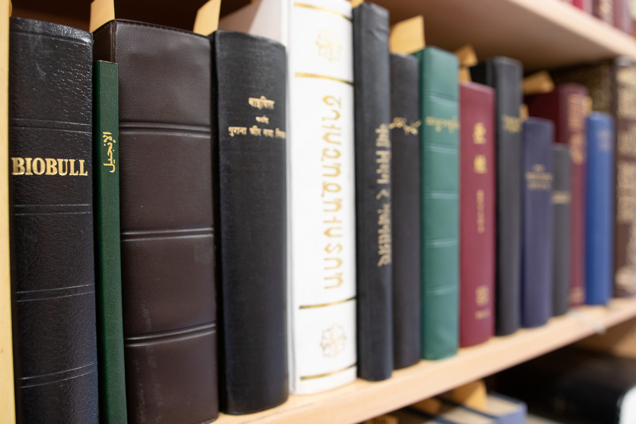 a könyvtár idegen nyelvű szentírásgyűjteménye